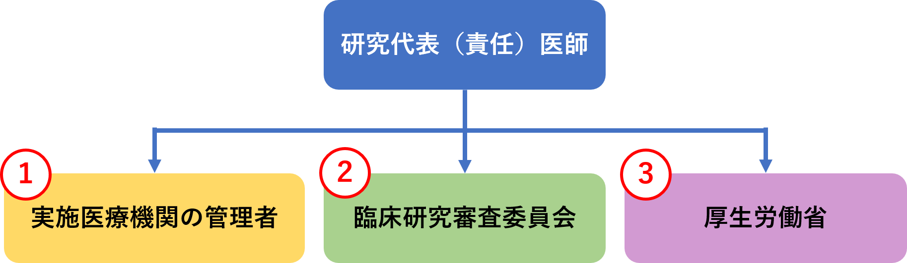 報告フロー図