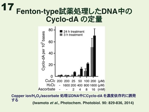 画像17