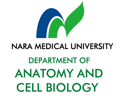 Department of Anatomy and Cell Biology, Nara Medical University